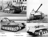 Panthers