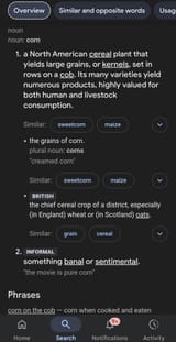 Screenshot_20250714_164654_Google