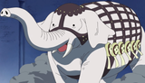 elphant