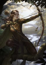 ina-wong-arwen