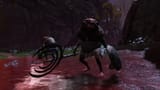 skeleton wheels