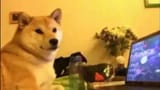 doing anything but CYOAs