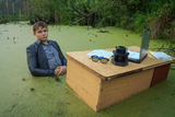 swamp