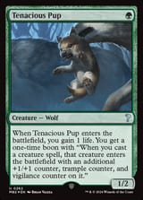 mb2-262-tenacious-pup