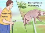 1000006602