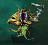 Mollusc