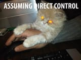 assuming direct control