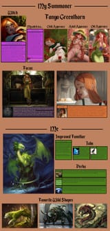 A Mage&#039;s Familiar image build