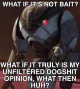 what if i&#039;m not baiting