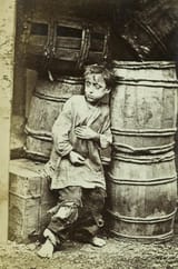 urchin