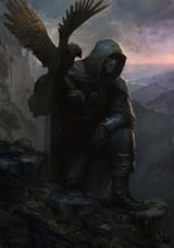 falconer_by_cristi_b_d5s56do