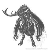 images (1)