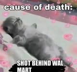1750327005163677