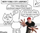 GvntfZHWsAAN4wW