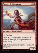tdm-126-sunset-strikemaster