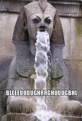 Disgusted Sphinx