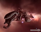 774747-932912_20070117_001
