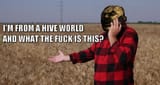 wtf hive world wheat