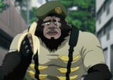 Stocky
