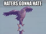 haters gonna hate