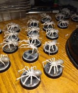 second coat