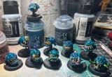 bluesquigs