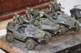 cadian warthog