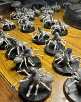 spooders
