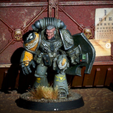 IFWardenSarge