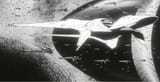 Eltreum_and_Fleet