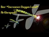 Insects-Of-Inusual-Size