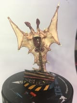 Xenussy