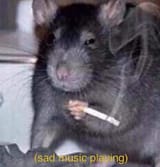 328