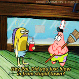 stupid town