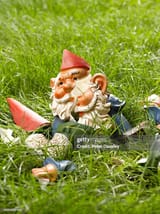 gettyimages-200503321-001-1024x1024
