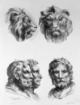The_relation_between_the_human_physiognomy_and_that_of_the_Wellcome_L0010074