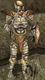 Mor-chitinarmor_webp