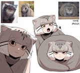 pallas&#039; cat