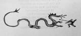 tolkien_dragon