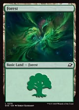 eoe-275-forest