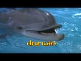 sddefault