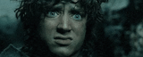 zesty frodo