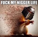 Fresh meme for you guys