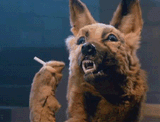 Hitler&#039;s Dog