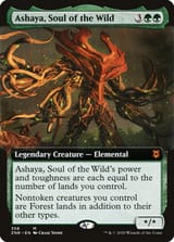 znr-358-ashaya-soul-of-the-wild