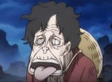 old luffy