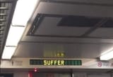 the BUS