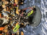 IMG_2722