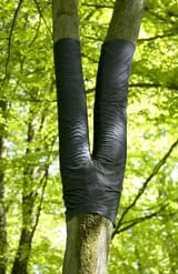 2006_jeans2