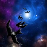 Photino_Birds